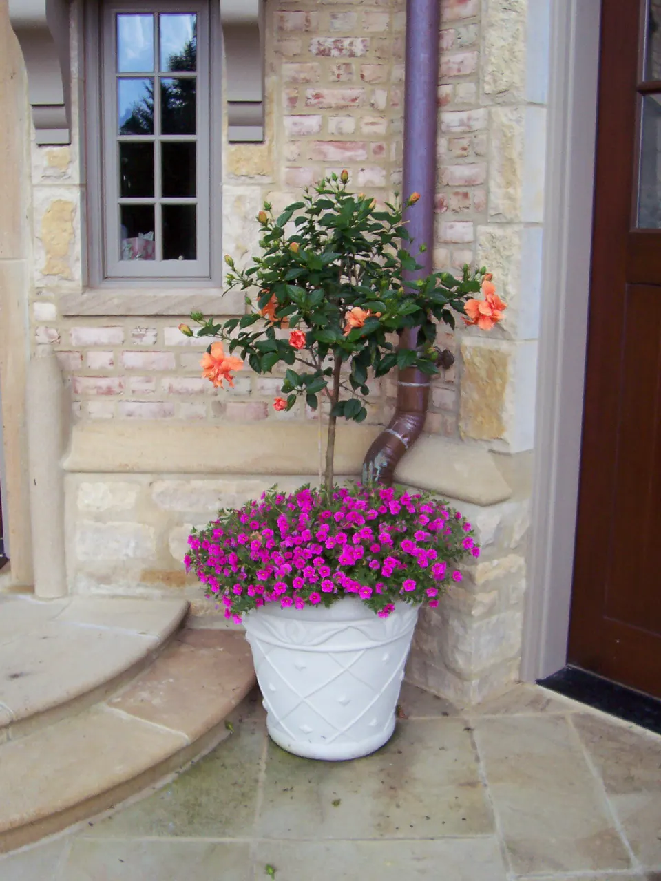 White entry pot with a flowering standard and magenta annuals beside a stone entry